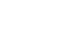 NanoSystems business partner della Solumia.